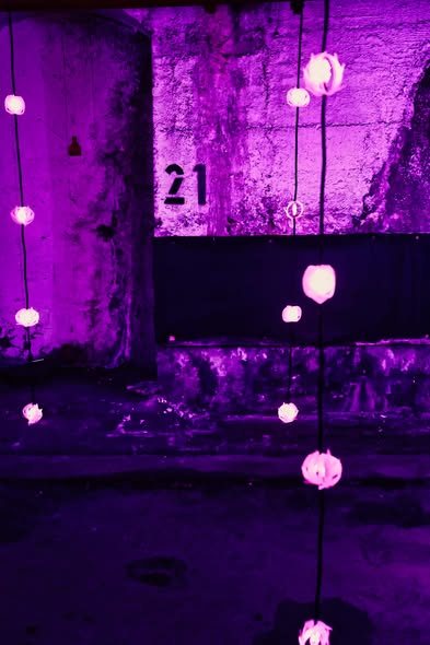 Purple lit concrete wall with glowing lanterns